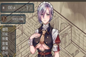 [RPG/中文/动态]奴隶女仆与报酬迷宫 BOKIBOKI官方中文步兵版[新作][500M/百度]』-IS充值【57】