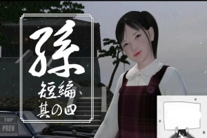 【PC/日文/3D互动/开小车】孙花子/环/公子/咲全系列整合 1~4完整版【1.7G】-IS充值【57】
