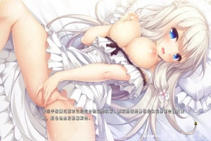 [ADV/汉化] 候鸟的梦 Pieces 渡り鳥のソムニウム 汉化版电脑 [4.4G]-IS充值【57】