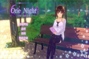 [ADV/汉化] 仅限一夜的幼妻~One Night ~官方中文版 电脑 [300M]-IS充值【57】