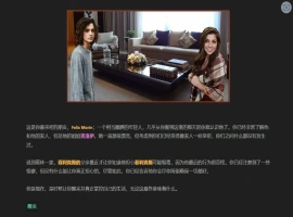 [HTML/浏览器汉化] 我的朋友 Friends of Mine V1.4 浏览器转中文 电脑 [2.5G]-IS充值【57】