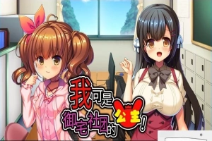 【2D/ADV/中文】我可是御宅社团的公主! V1.10 双端中文版【800M】-IS充值【57】