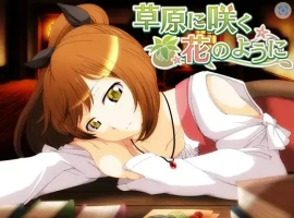 【日系RPG/AI汉化】就像草地上盛开的花朵1.0【PC+安卓/692M】-IS充值【57】