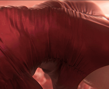 【神級3D/全動态】Nagoonimation：艾達王-觸手巢穴 4K步兵版【動畫/新作/1.6G】-IS充值【57】