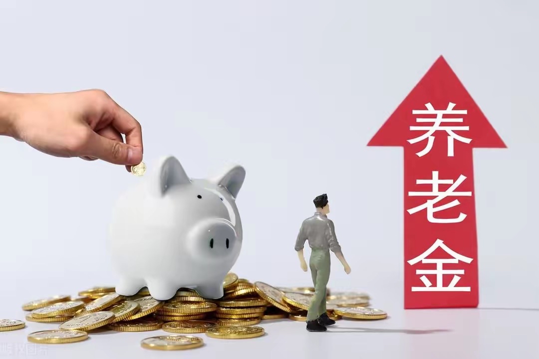 在去年的6月25日，山东省公布了养老金的调整计划，并计划于8月份为1月至7月的养老金上涨部分进行补发-IS充值【57】